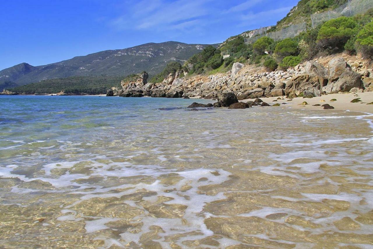 Alecrim Country House Setúbal Dış mekan fotoğraf